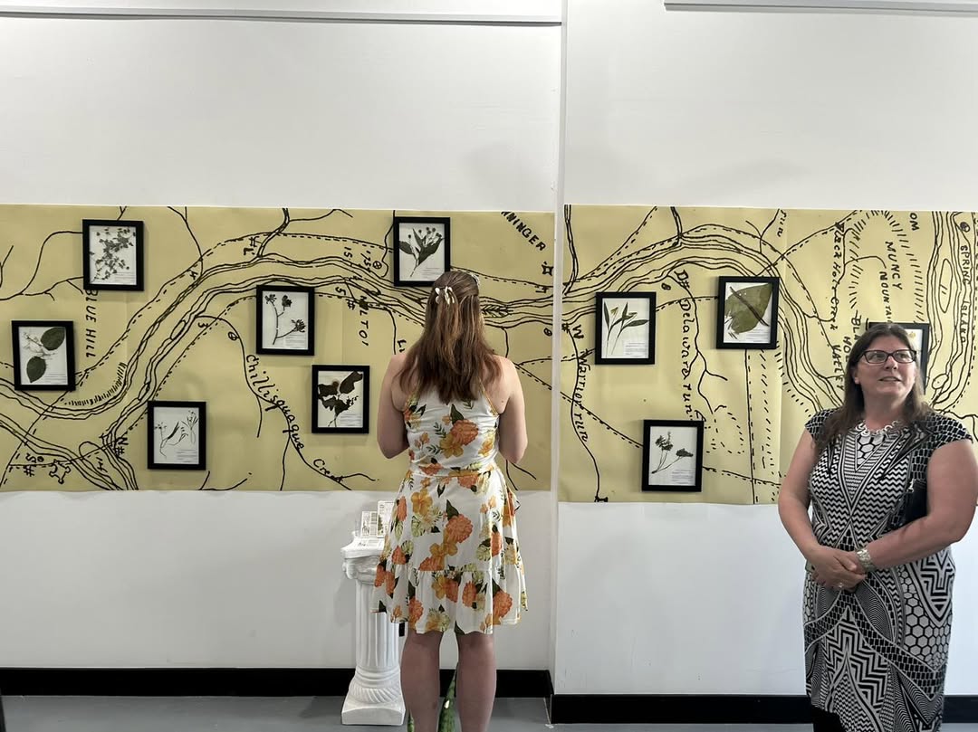 Botanical installation
